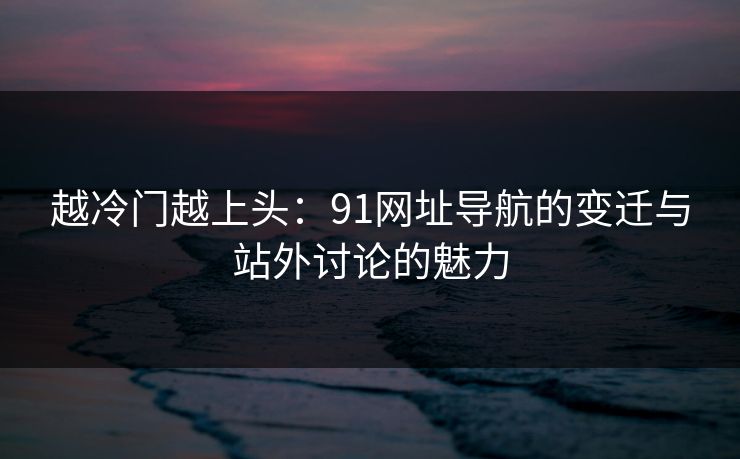 越冷门越上头：91网址导航的变迁与站外讨论的魅力
