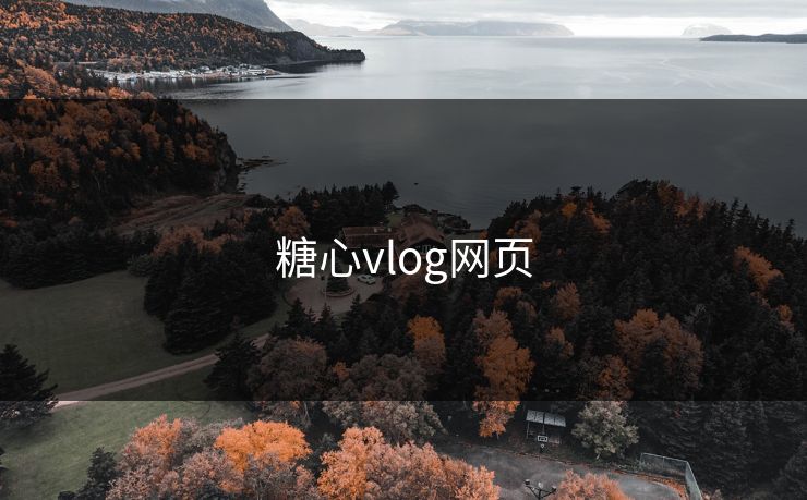 糖心vlog网页