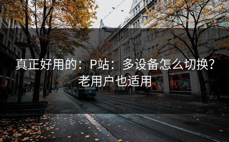 真正好用的:P站:多设备怎么切换?老用户也适用 真正好用的:P站:多设备怎么切换?老用户也适用