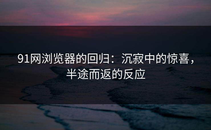 91网浏览器的回归：沉寂中的惊喜，半途而返的反应