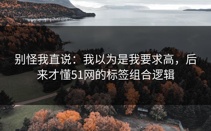 别怪我直说：我以为是我要求高，后来才懂51网的标签组合逻辑